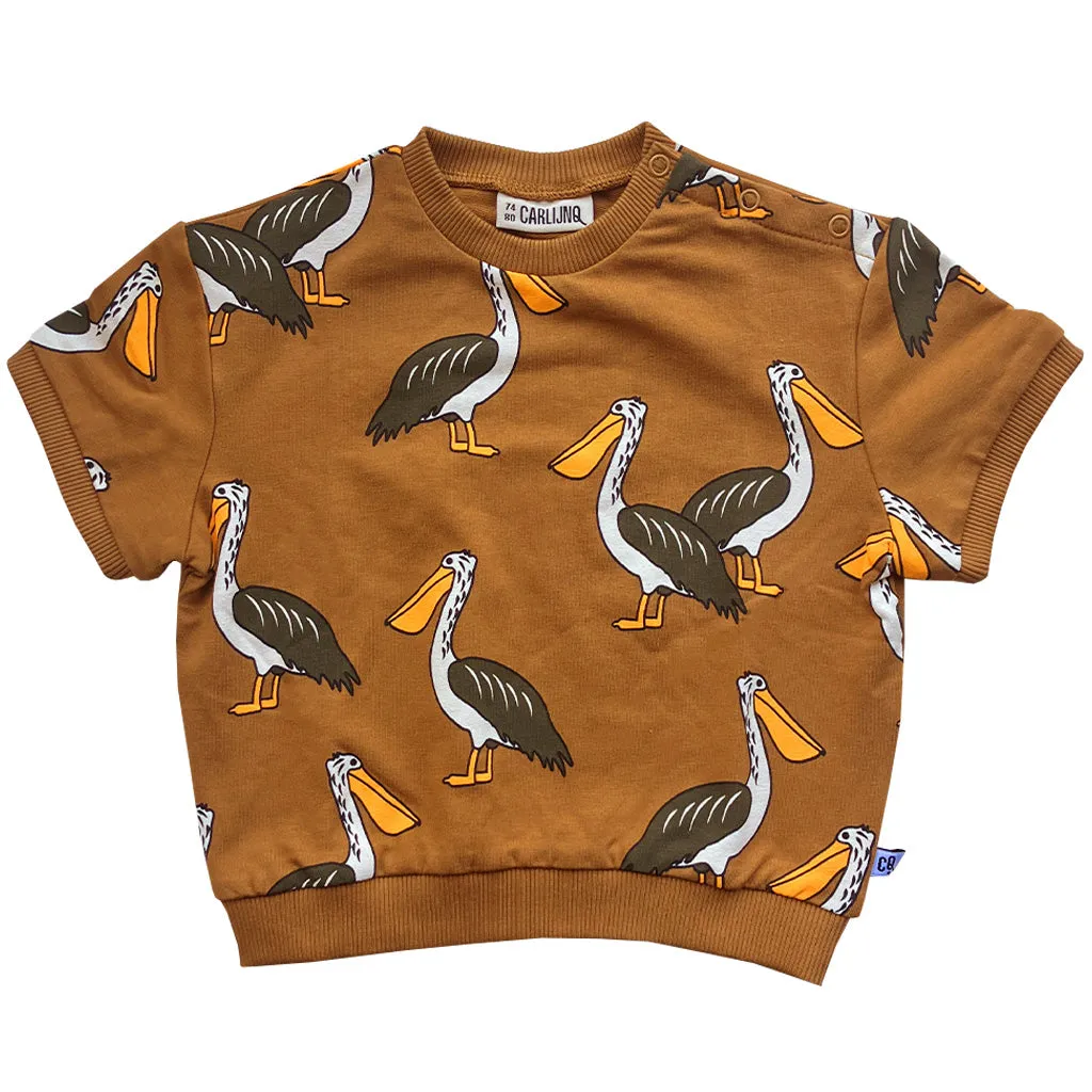 Sweater Shortsleeve Pelican